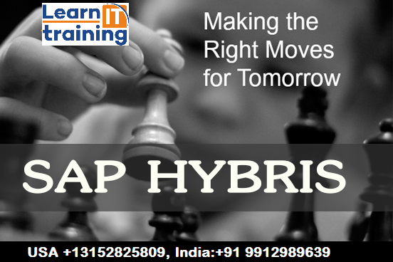 Live SAP Hybris Online Training | Live Project and Certification